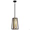 Quoizel Sierra 1-Light Matte Black Mini Pendant TF5332MBK - alternate 1